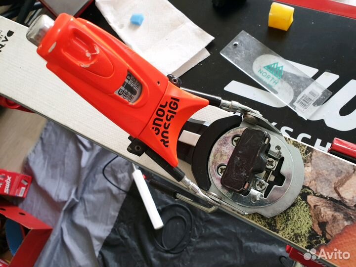 Горные лыжи