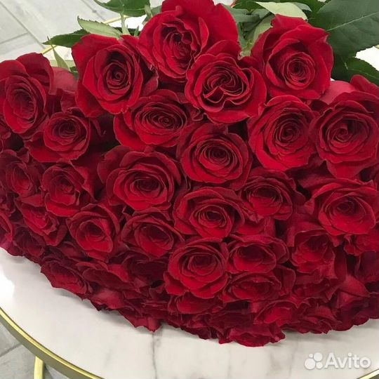 Розы 51 штука
