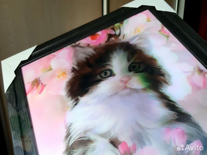 Новая 3D картина в раме кот котенок кошка 35 х 45