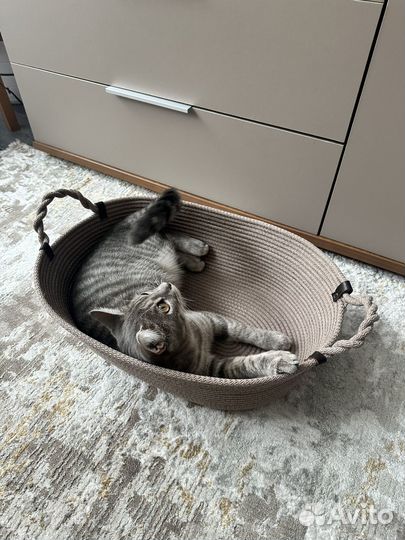 Интерьерные корзины и салфетки