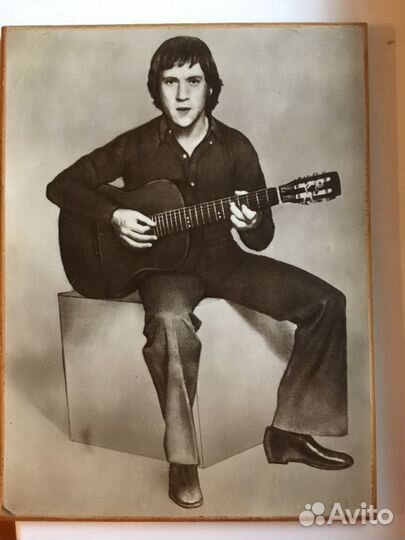 Портрет Высоцкого