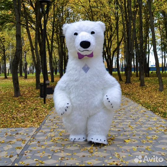 Белый мишка поздравление / ted