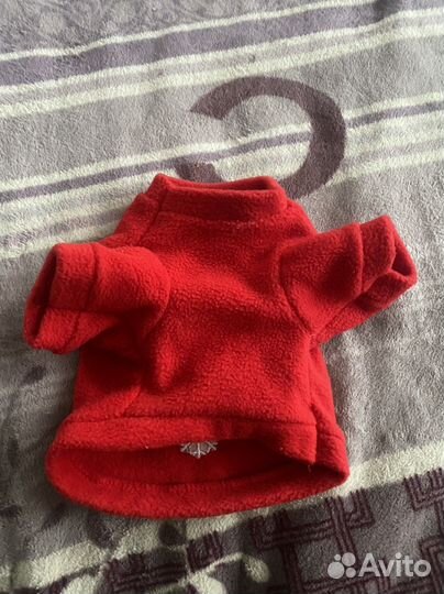 Одежда для собак мелких пород