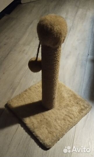 Когтеточка