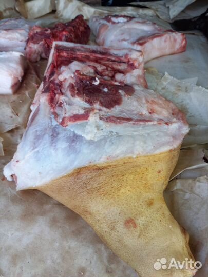 Мясо свинина