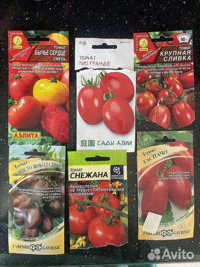 Рассада помидор