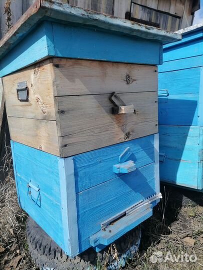 Улей для пчел бу