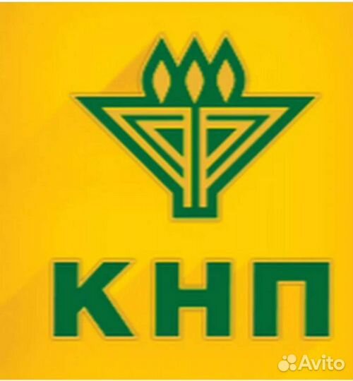 Талоны на бензин