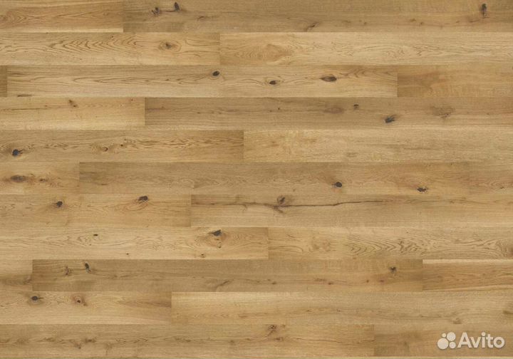 Паркет / Паркетная доска дуб клеевая