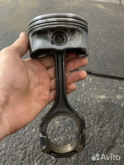 Пошня в сборе