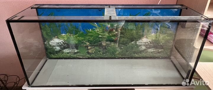 Аквариум
