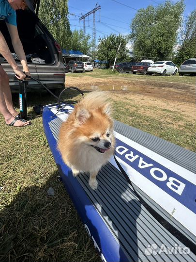 Sup сап доска 17