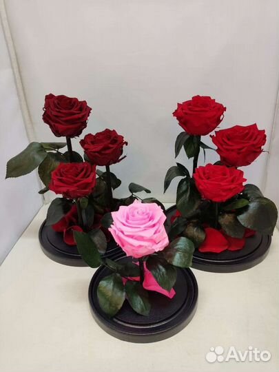 Подарок на новый год / Цветы