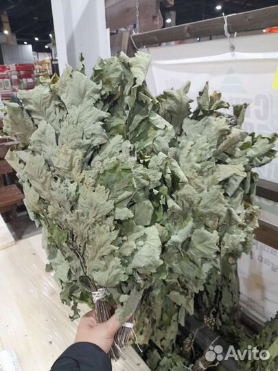 Веники дуб липа берёза эвкалипт мята полынь бамбук