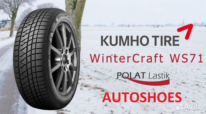 Kumho WinterCraft WS71 295/40 R20
