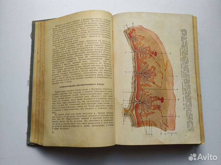 Акушерство 1956г