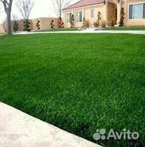 Укладка газона