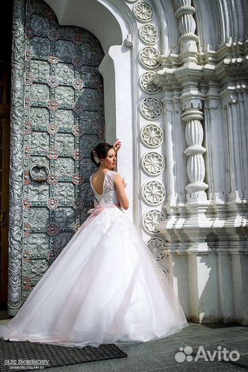 Свадебный Фотограф Регистрация Прогулка Банкет