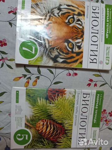 Тетради по биологии готовые