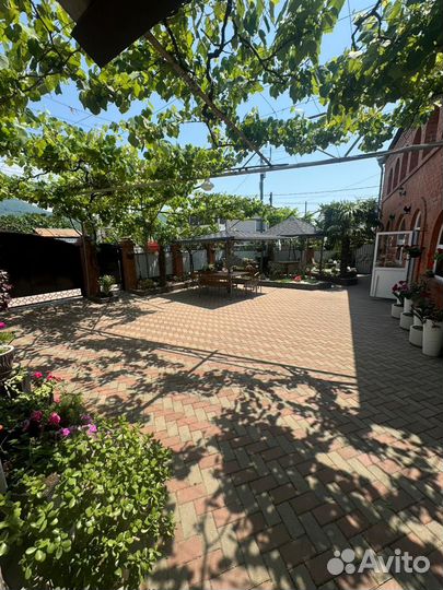 Отдых на черном море Сочи