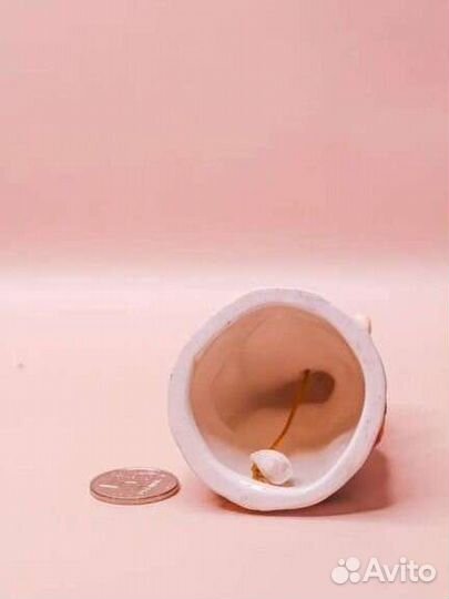 Колокольчики Испания ч-2