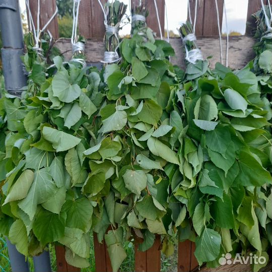 Веники для бани