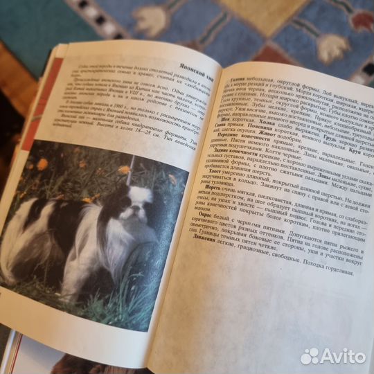 Книги про кошек и собак