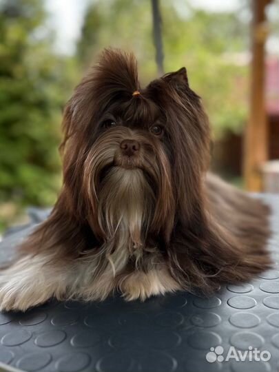 Мальчик биро вязка