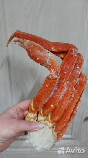 Морепродукты круглосуточно