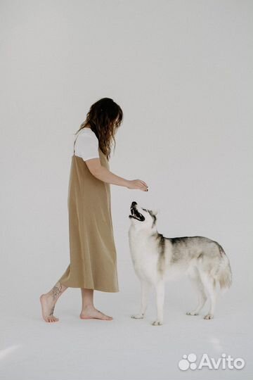 Услуги кинолога