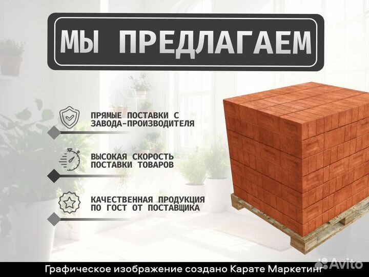 Кирпич пустотелый (Стройпластполимер)