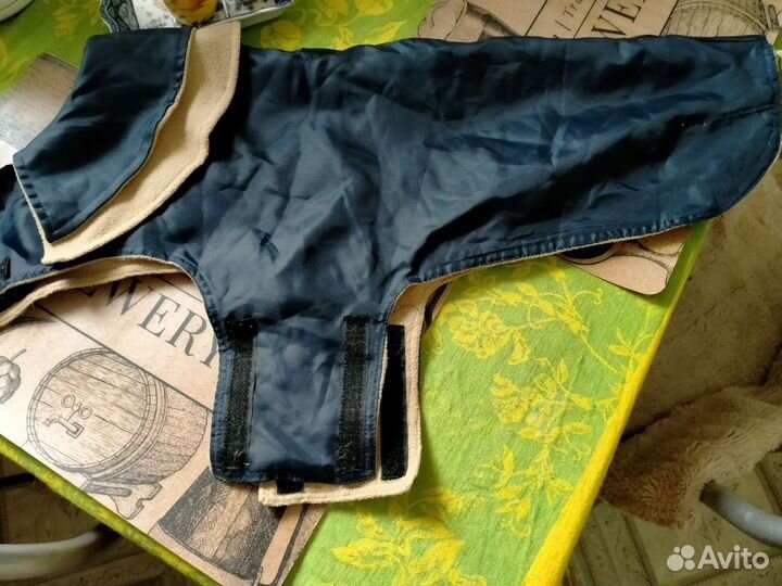 Одежда для средних собак