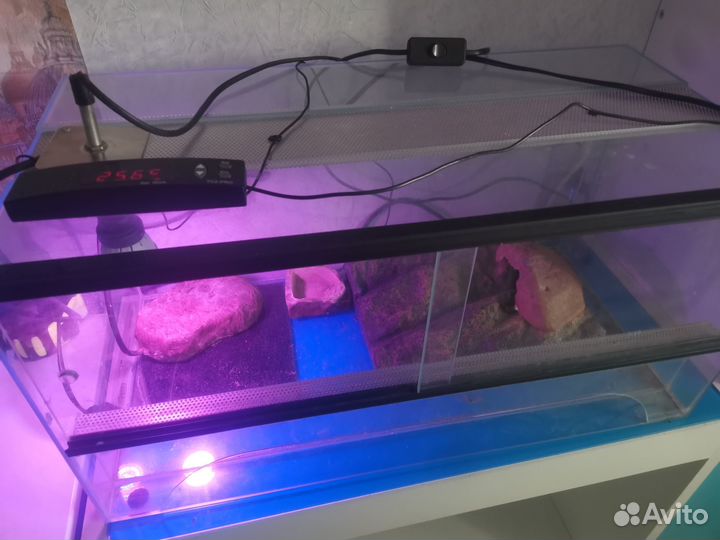 Террариум для змеи 30*30*60