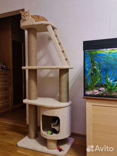 Когтеточки, лежаки, домики для кошек