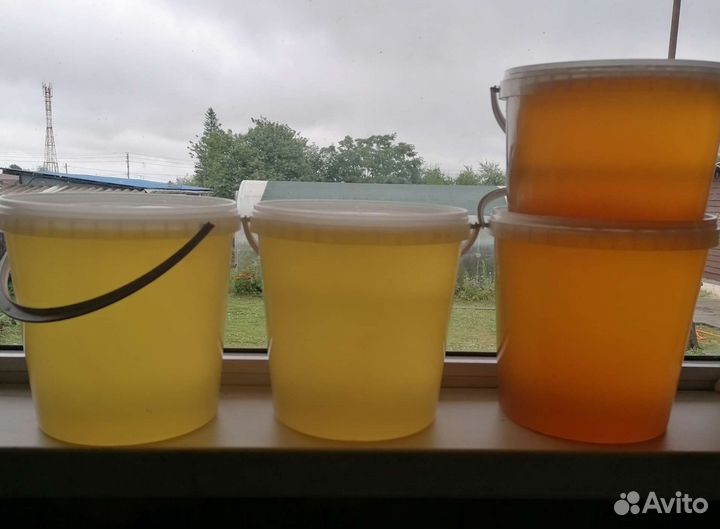 Мёд Амурский