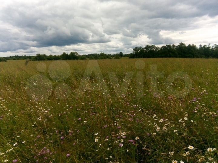 Участок 50 га (СНТ, ДНП)