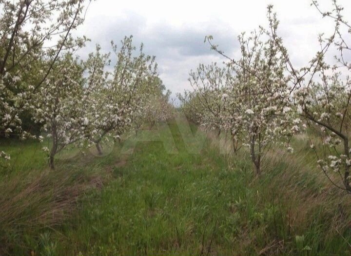 Участок 72 сот. (СНТ, ДНП)