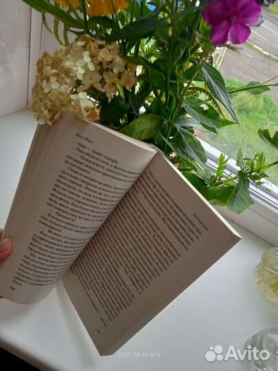 Книга коллекционер интересная. Классика