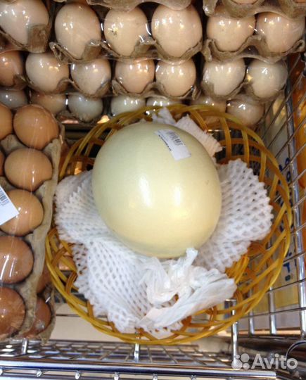 Упаковщик яиц работа в Перми