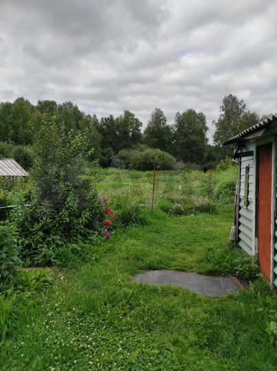 Участок 10 сот. (ИЖС)