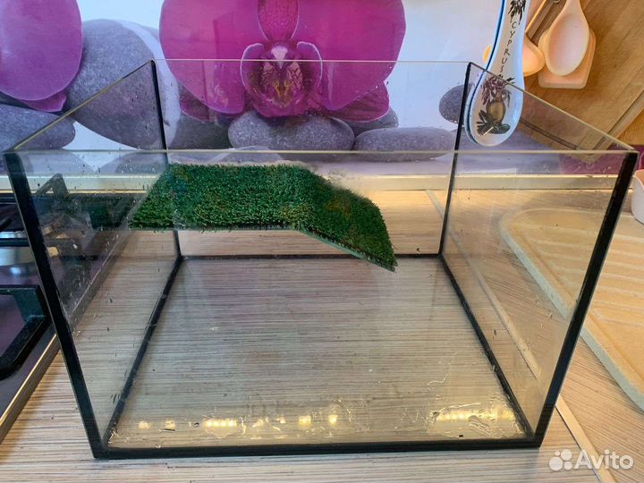 Террариум для красноухой черепахи