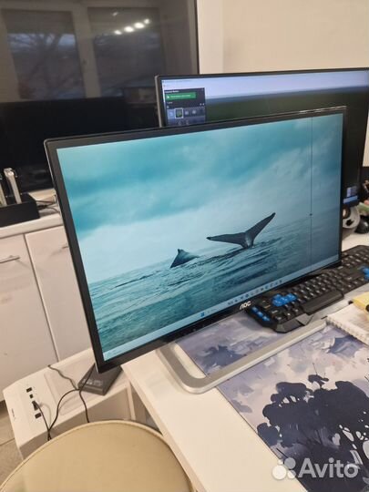 Монитор лос 24