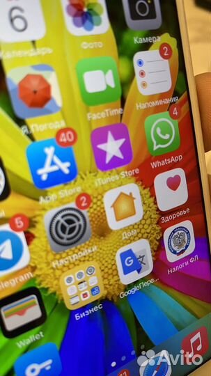 Телефон iPhone 7 256 red