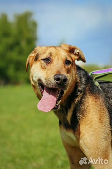 Дастин родился и вырос в приюте