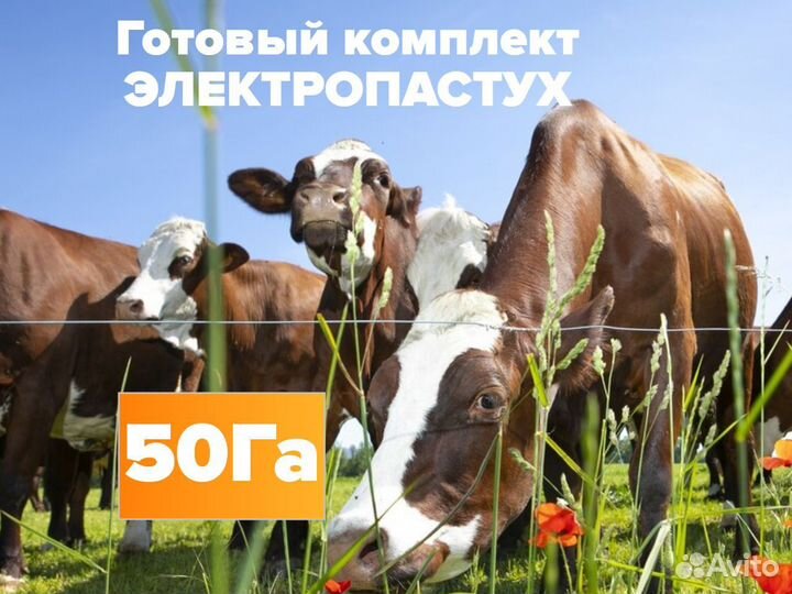 Комплект электропастух 50 Га