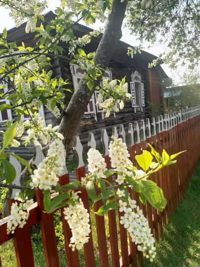 Дом 52 м² на участке 25 сот.