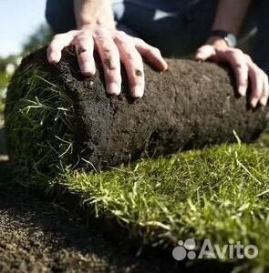 Гидропосев