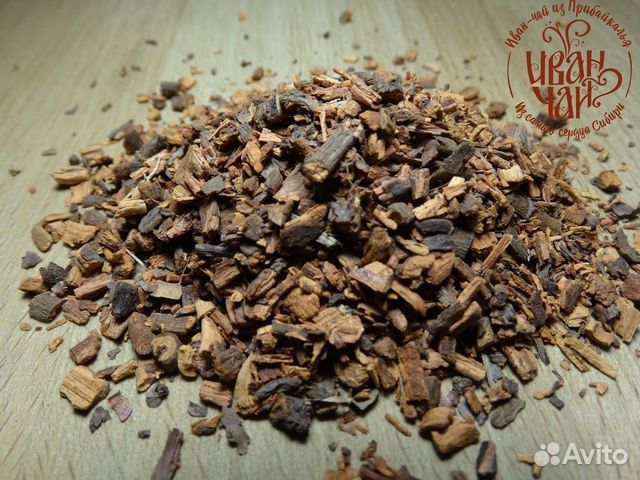 Марена красильная