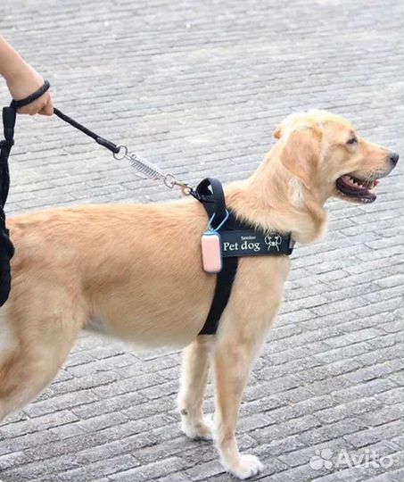 Контейнер + 15 пакетов для выгула собак