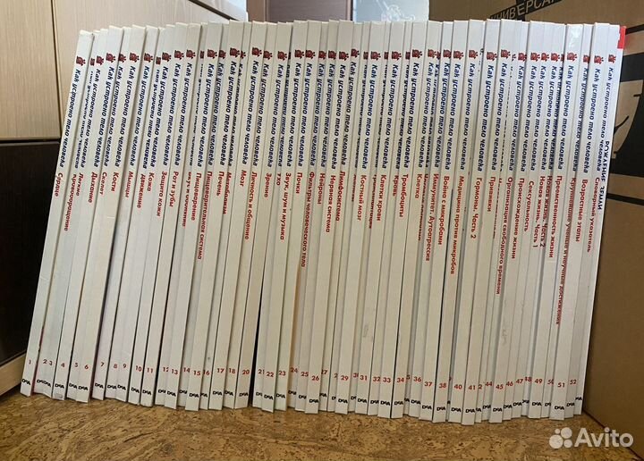 Как устроено тело человека